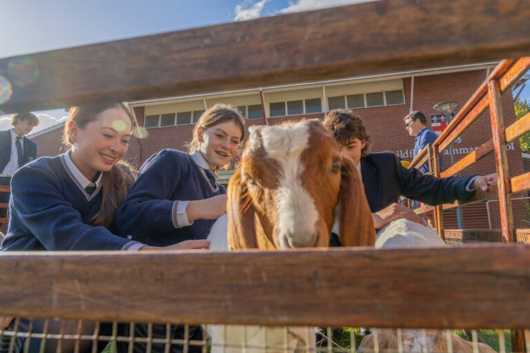Guildford Grammar students with goat